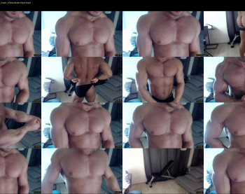 flex_x_x