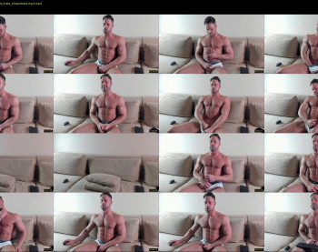 _adam19