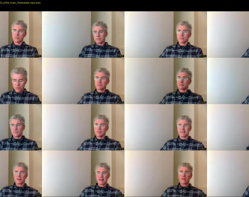 anothersilverfox