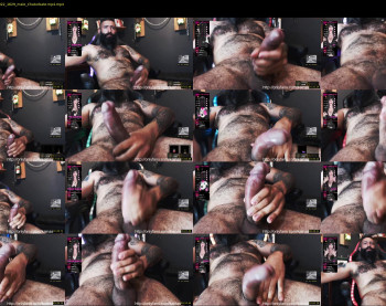 boris_the_animal