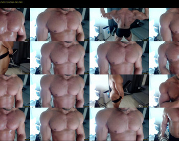 flex_x_x