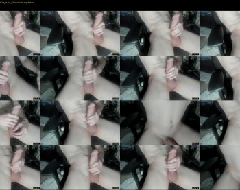 kash_bunny