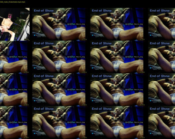 muscle_dog