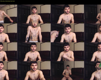 teddy_mode