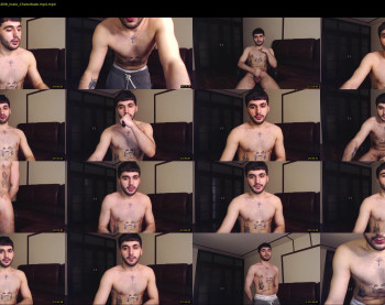 teddy_mode