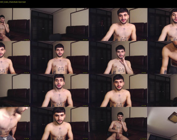 teddy_mode