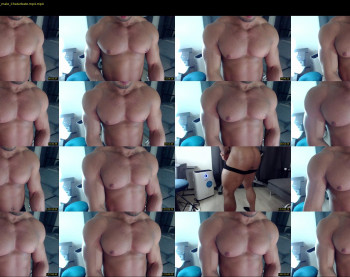 flex_x_x