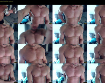 flex_x_x