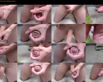 honeyxander