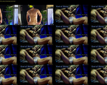 muscle_dog