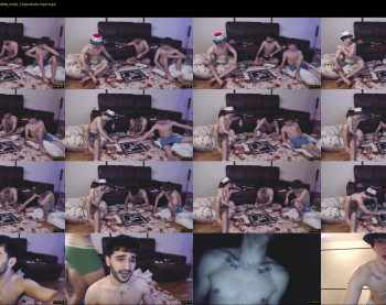 teddy_mode