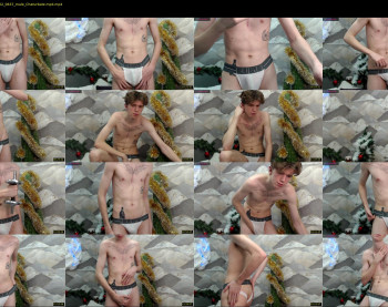 matthewcollinss