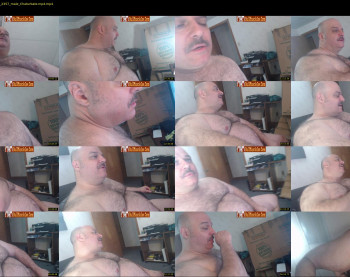 bullmusclejoe