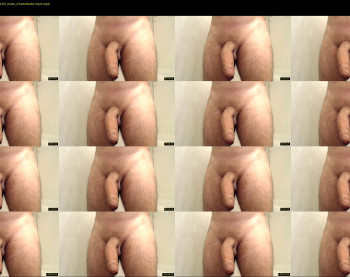 divercelli87