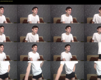 gavisjoy