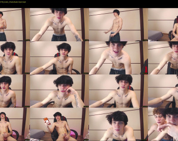 teddy_mode