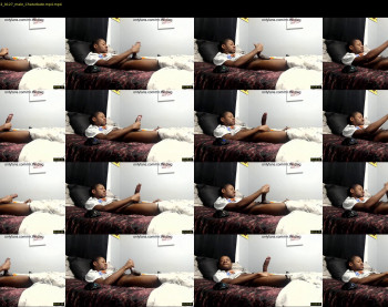 mrthirdlegg312