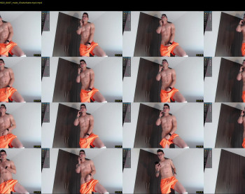 stefan_salvatore__