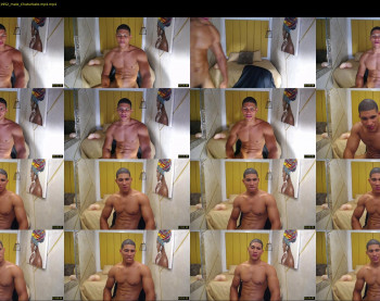teddyfit19cm