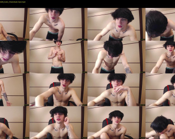 teddy_mode