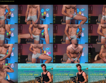 hot_bear_