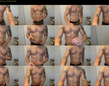 shredded_92