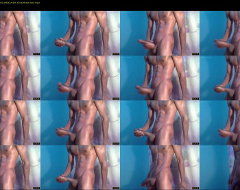 aasher_hardcore