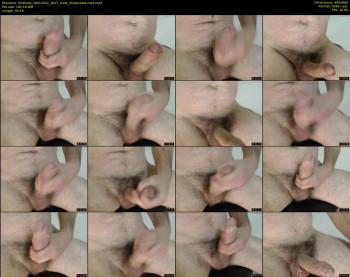 lordlusty