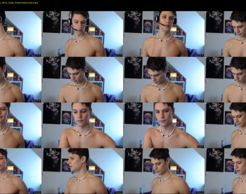 misterydragon
