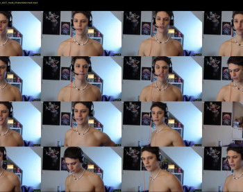 misterydragon