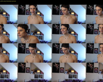 misterydragon