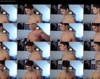misterydragon