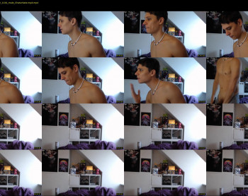 misterydragon