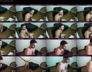 osito_blanco