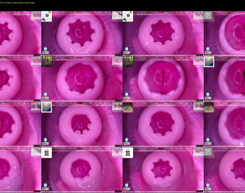 dickdipping