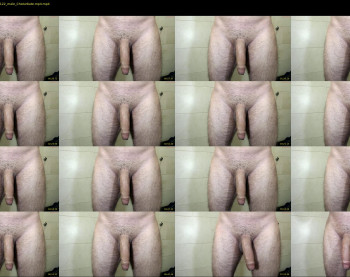 divercelli87