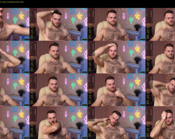hot_bear_