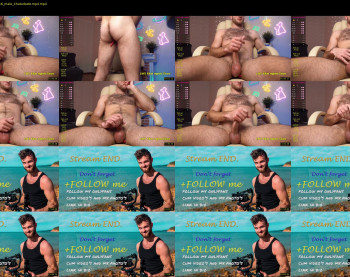 hot_bear_