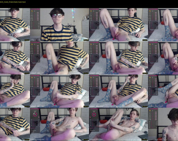 mr_pim_2_0