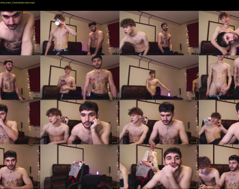 teddy_mode