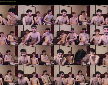 teddy_mode