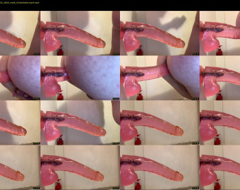 wiltryanything2x
