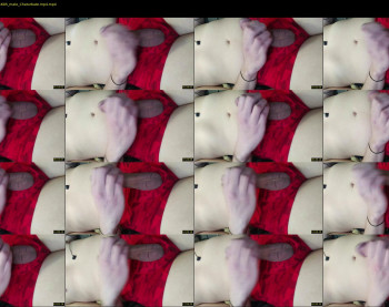 willisgod666