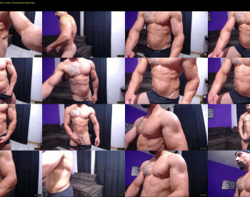 bestmuscle