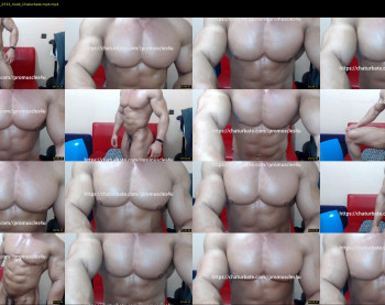promuscles4u