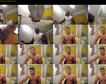teddyfit19cm