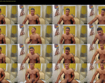 teddyfit19cm