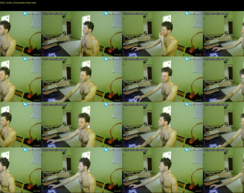 apollobest77