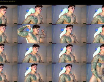 austin_grey2
