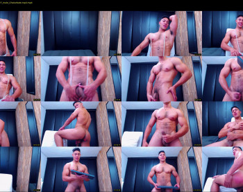 dixon_ray